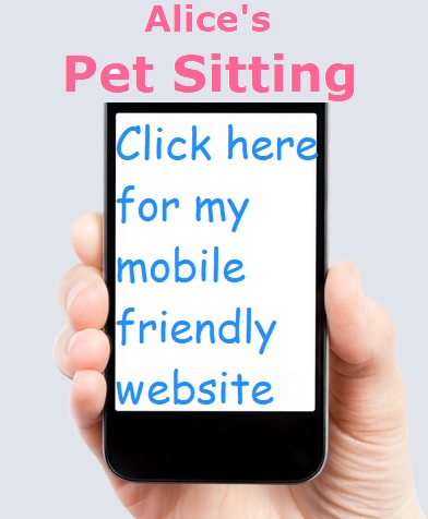 Click here for mobile friendly website